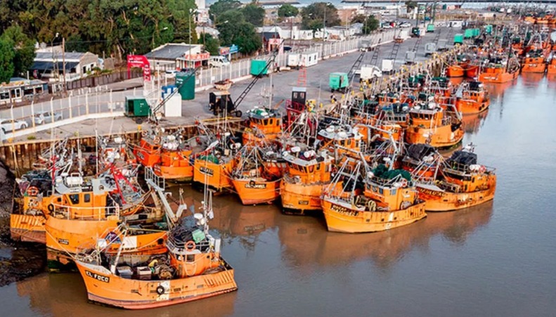 Langostino 2026: el Puerto de Rawson consolida una gran temporada bajo la sombra del reclamo por el derrame local