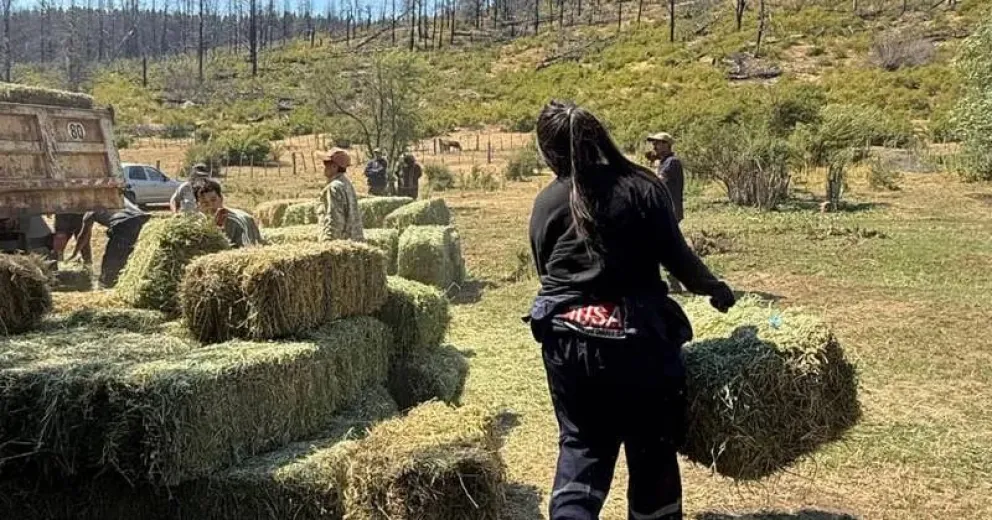 La campaña «La Meseta uniendo la Cordillera» entregó 600 fardos a productores afectados por los incendios en Cholila