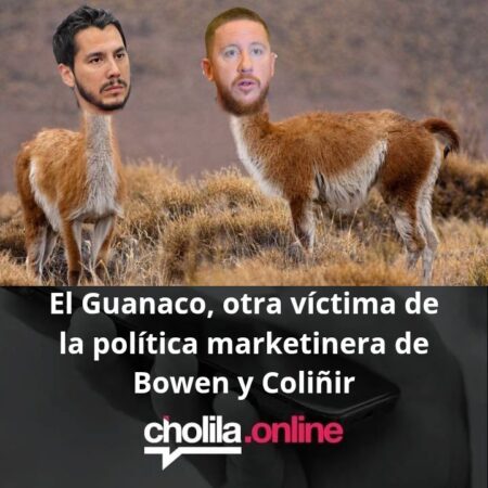El Guanaco: Otra Víctima de la «Política de Marketinera» de Bowen y Coliñir