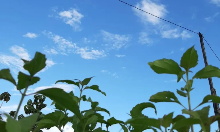 Alerta en Chubut: el viento se intensifica esta noche con ráfagas de hasta 69 km/h en varias ciudades