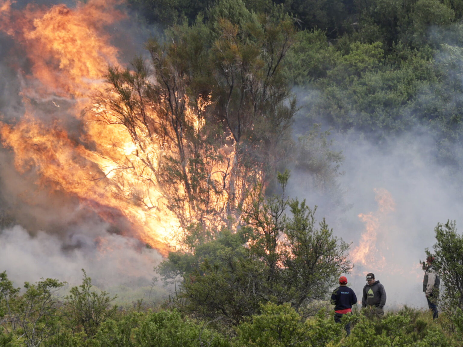 Operativo contra el fuego: Puerto Patriada contenido al 85% y lucha en Los Alerces