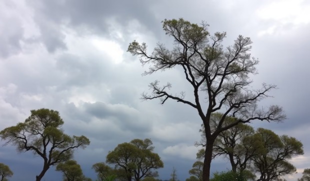 Alerta en Chubut: el SMN advierte por ráfagas de 90 km/h y fuertes lluvias para este lunes y martes