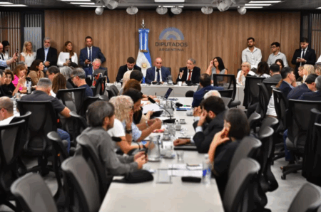 El oficialismo limitó a solo 200 oradores las audiencias públicas y dejó afuera a 49.800 inscriptos