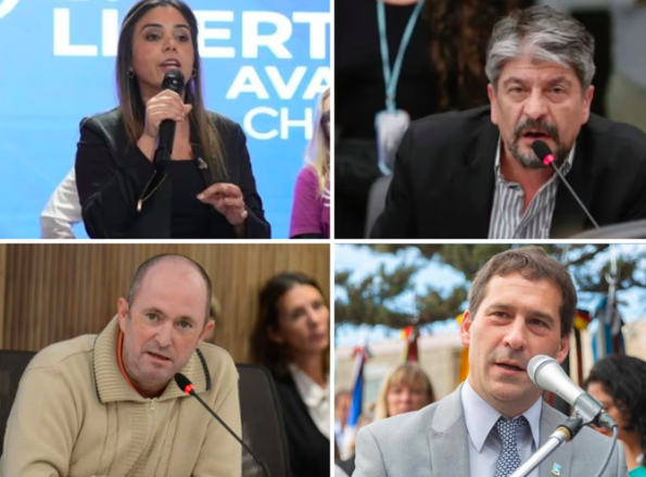 ¡Patagonia al poder! Cinco legisladores de la región obtuvieron cargos clave en las comisiones de Diputados