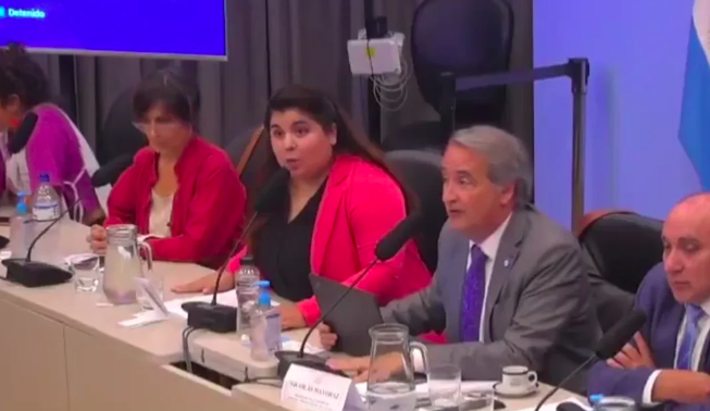 ¡Escándalo en el Congreso! Una periodista a los gritos pidió silencio en plena audiencia por la Ley de Glaciares