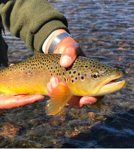 La Loma Lodge: El paraíso del Fly Fishing en el corazón de la Cordillera de los Andes