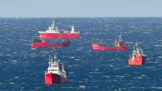 ¡Alerta en la pesca! Los costos se comen el margen: subió 24% el combustible y la flota analiza si salir a pescar ya no cierra