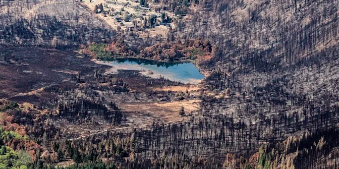 La tierra sigue ardiendo aunque el fuego se haya apagado: en Cholila la cicatriz es imborrable