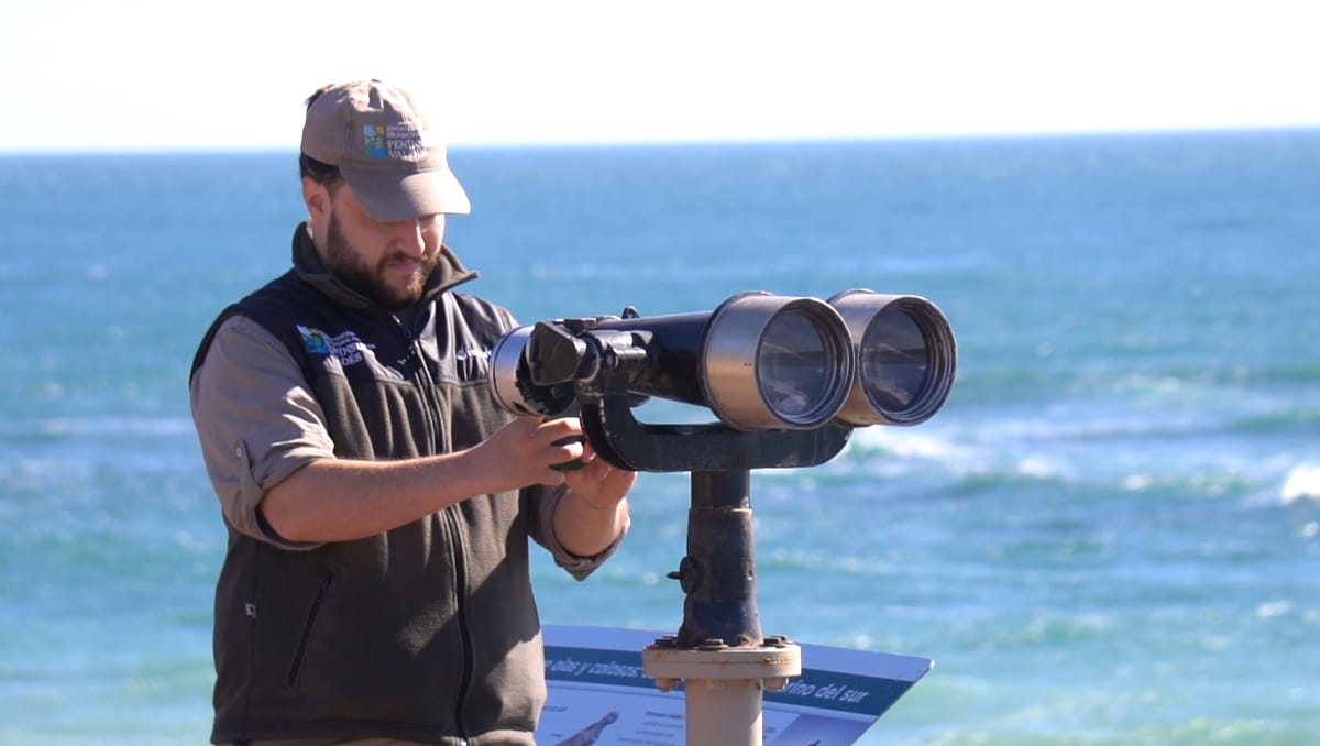 Chubut lanzó la Temporada de Orcas 2026 con nuevas obras en Punta Norte