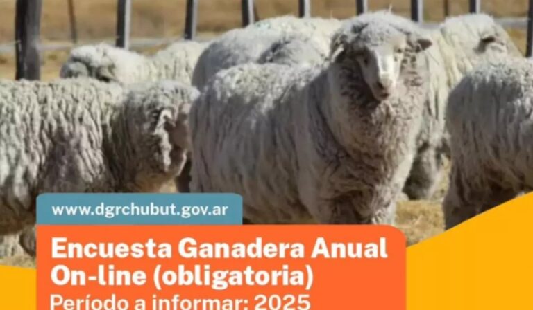Chubut convoca a productores a completar la Encuesta Ganadera Anual 2025
