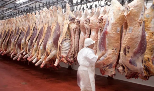 Fin de la exclusividad patagónica: Japón habilita la exportación de carne vacuna desde todo el país