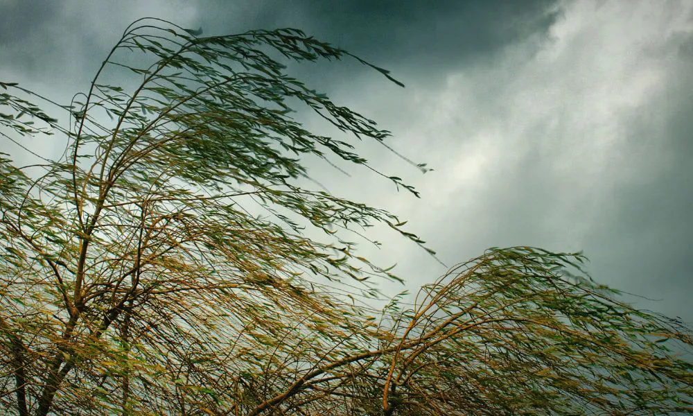 ¡Viento infernal en Madryn! Ráfagas de 70 km/h azotan la costa y el viento del oeste domina el domingo en Chubut