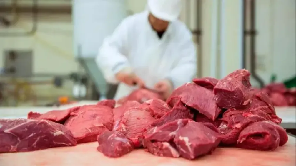 El consumo de carne vacuna en Argentina cayó a 47,3 kilos en 2026: Compensado por récords en pollo y cerdo