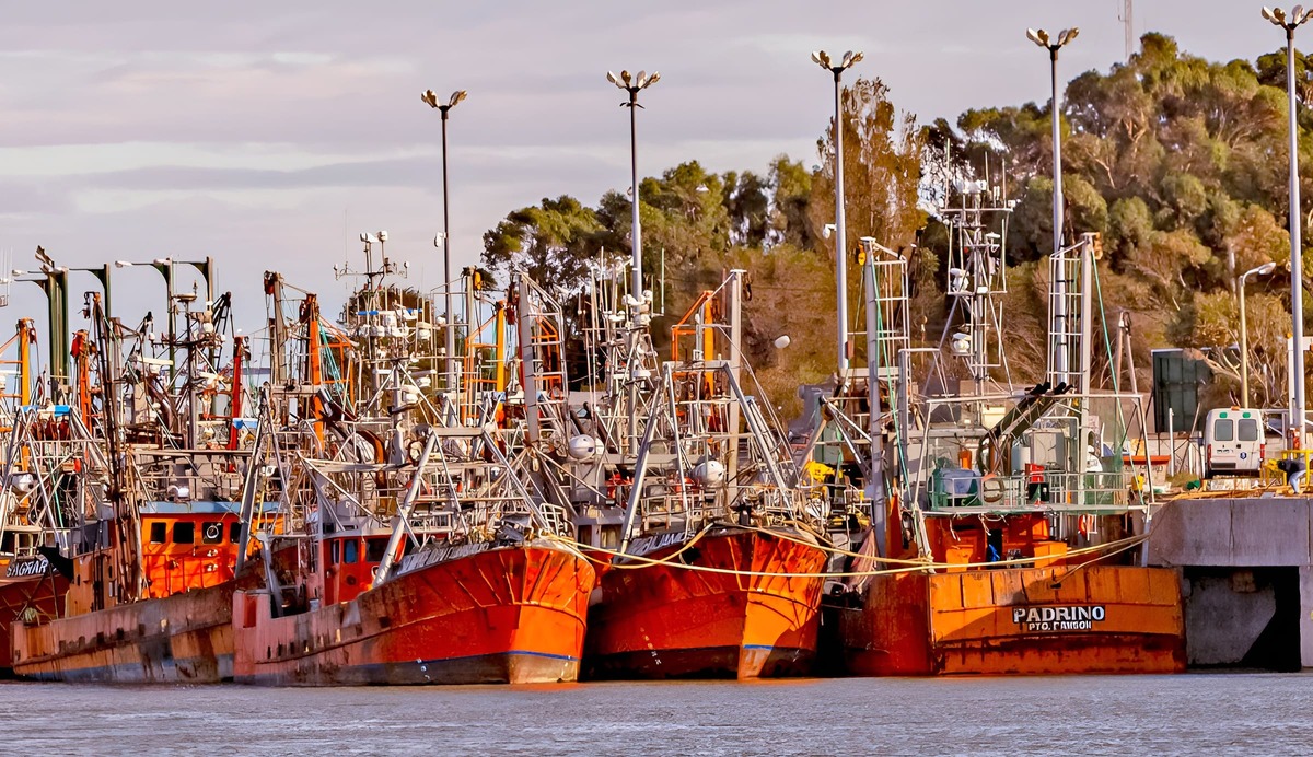 Pesca en alerta: el SOMU espera definiciones para volver al mar