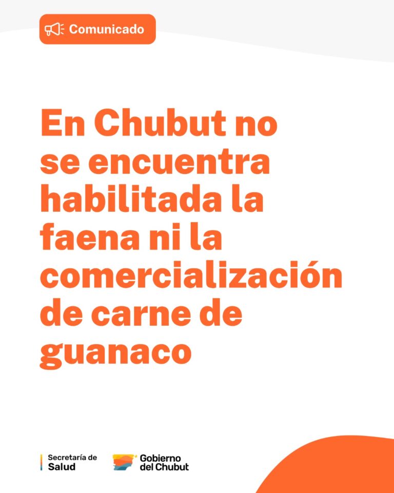 Salud detalló la normativa vigente y recordó que no está habilitada la comercialización de carne de guanaco