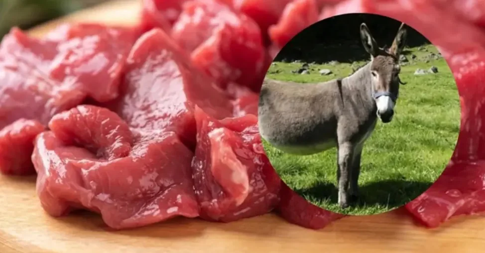 Julio Cittadini impulsa la venta de carne de burro en Chubut