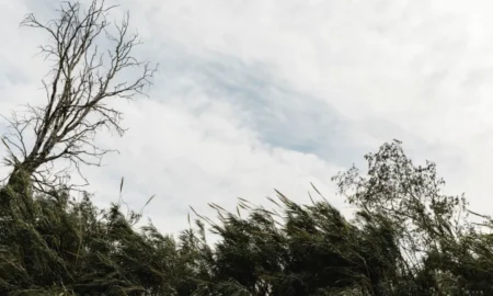Domingo con viento y nubes en Chubut: Comodoro será la más templada con 20 grados, mientras Madryn y Trelew soportarán ráfagas de hasta 59 km/h