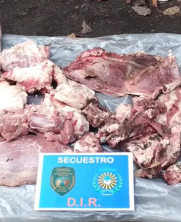 La Policía de Chubut secuestró decenas de cortes de carne vacuna en El Hoyo