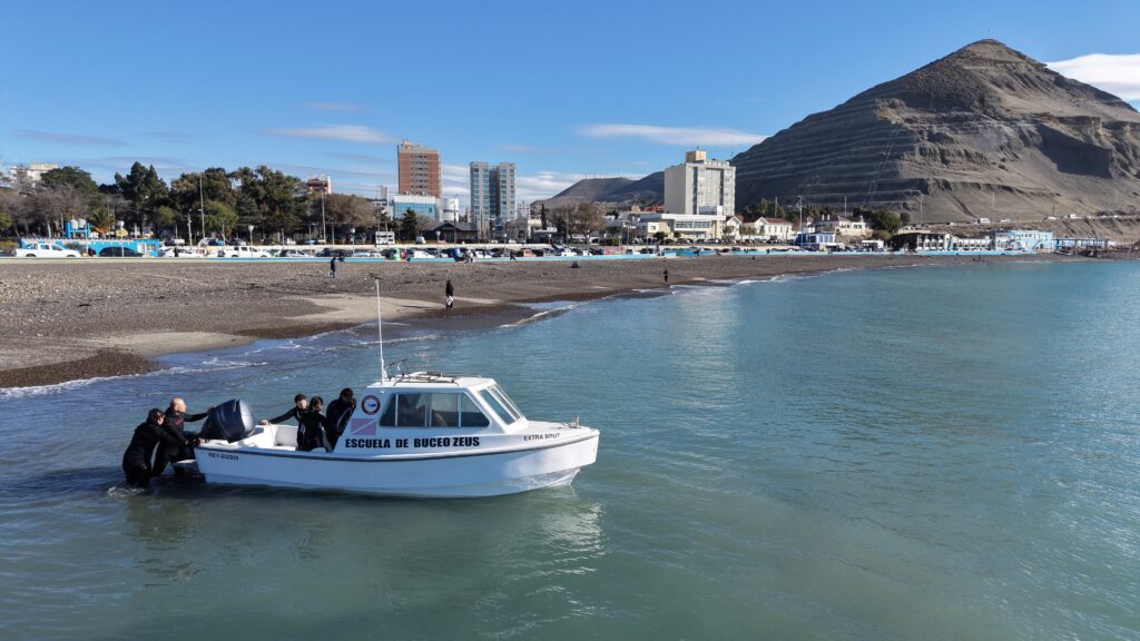Comodoro Rivadavia: habilitan el buceo y nado con lobos marinos