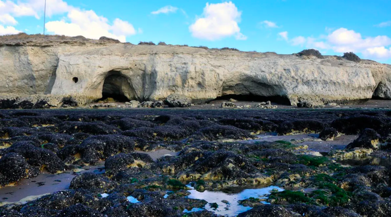 Punta Cuevas: confirman erosión natural y evalúan cambios urbanos