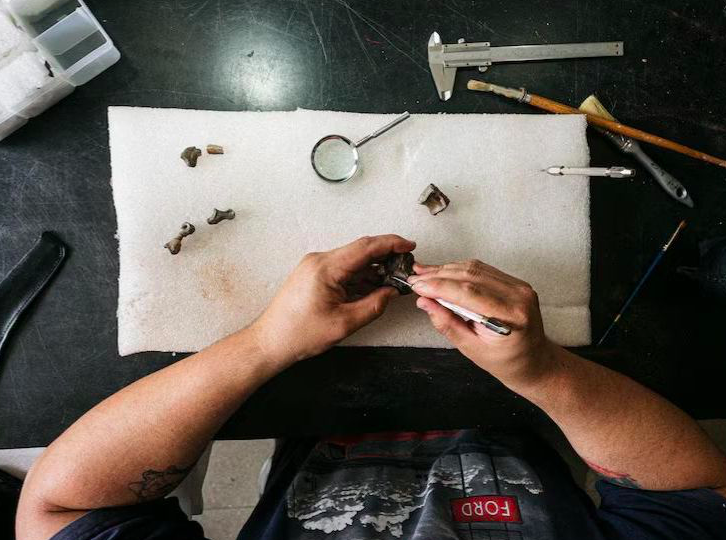 Hallazgo histórico en Santa Cruz: raptor de 66 millones de años
