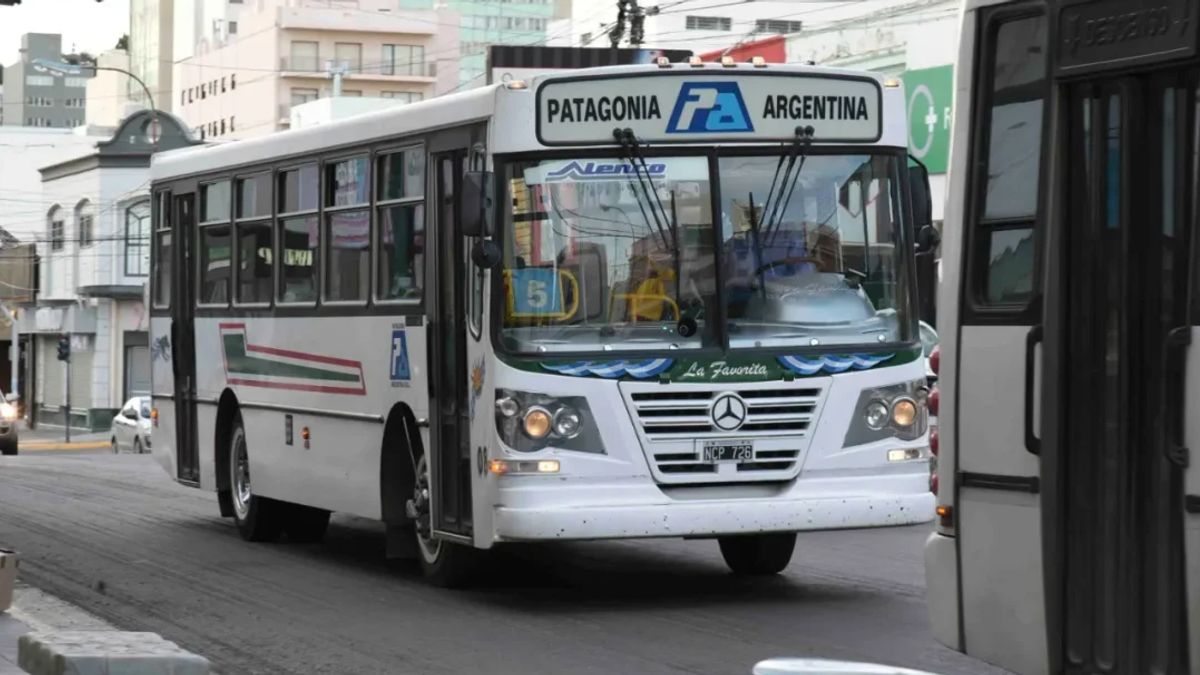 Patagonia Argentina apelará el fallo que la obliga a seguir operando colectivos en Comodoro