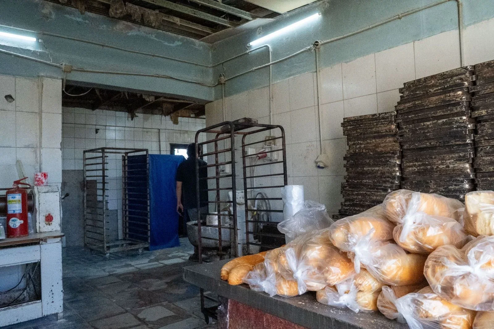 Interior de una panadería clausurada en Km. 8, Comodoro Rivadavia, con pan empaquetado y deficientes instalaciones.