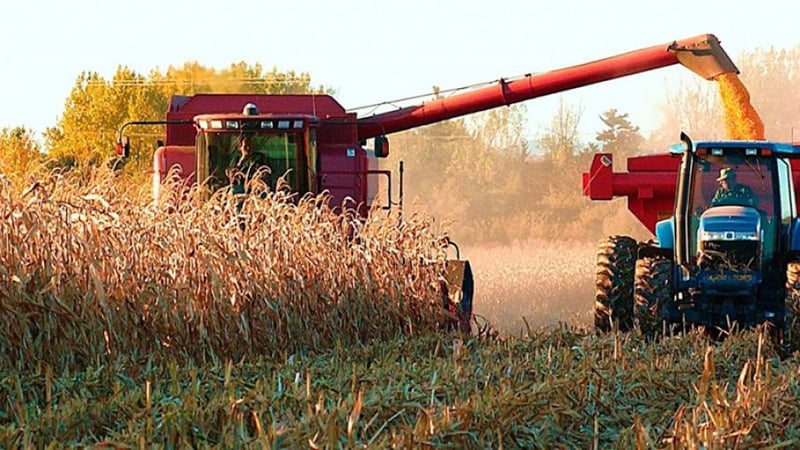 Récord para el campo: las exportaciones crecieron 16,2% hasta abril