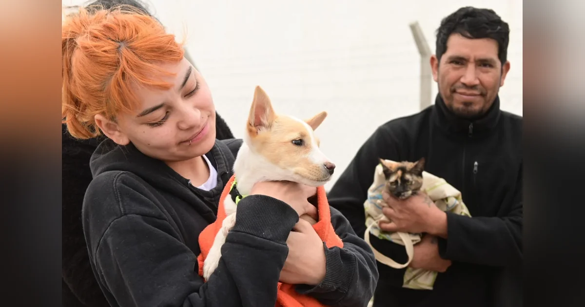 Puerto Madryn: Campaña gratuita de vacunación y castración animal este sábado Una mujer sostiene a un perro y un hombre a un gato envuelto en una manta en Puerto Madryn.