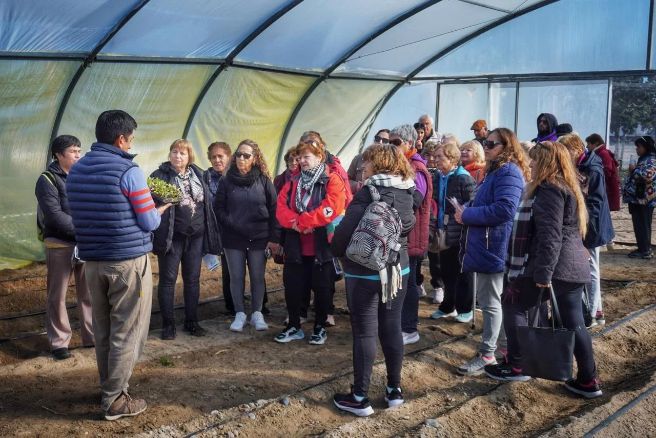 Grupo de adultos mayores de la Colonia Recreativa escuchando una charla sobre huertas en un invernadero de ADER Rawson.