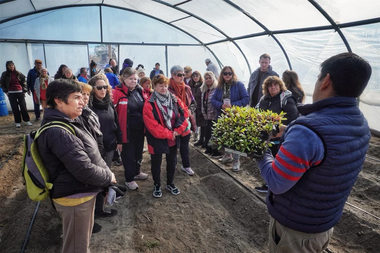 Un instructor muestra plantines a un grupo de adultos mayores de la Colonia Recreativa dentro de un invernadero de ADER.