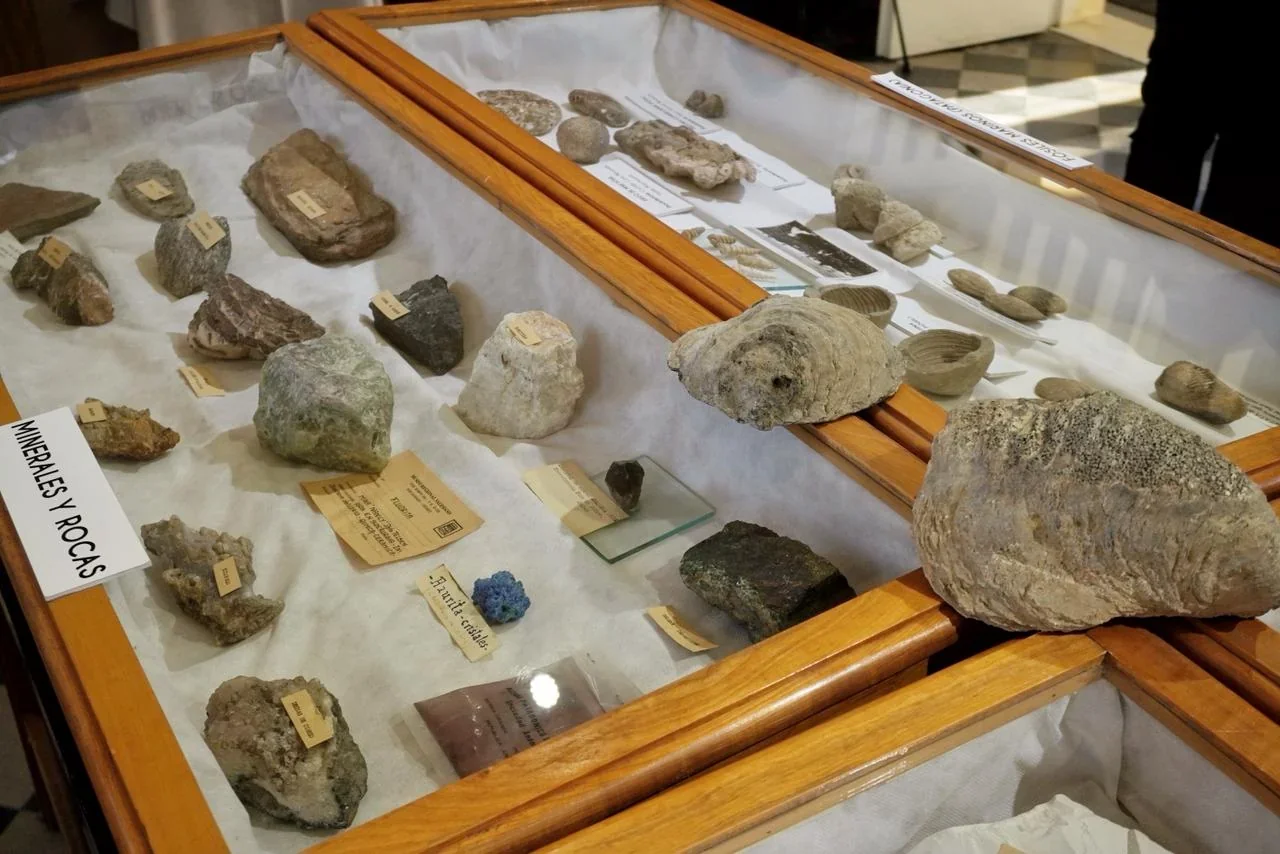 Vitrina de exhibición con minerales, rocas y fósiles en el Museo Regional Salesiano de Rawson.