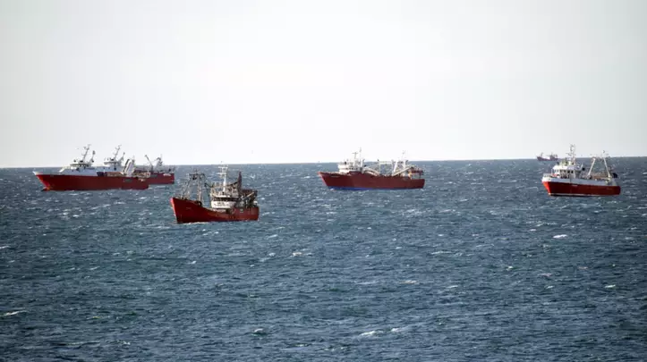 Temporal en alta mar: una flota de barcos pesqueros busca resguardo en el Golfo Nuevo