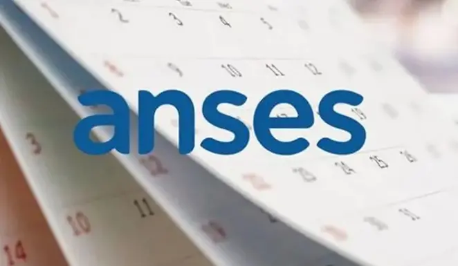 Beneficio especial de ANSES: quiénes cobran casi $450.000 en junio sin depender de bonos ni aguinaldo