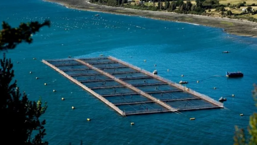 Comodoro: avanza el plan para instalar una planta de salmón en tierra