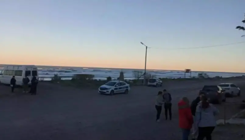 «Se descartaron del animal»: la fuerte hipótesis de la Vecinal de Magagna tras el ataque mortal de un perro a una nena