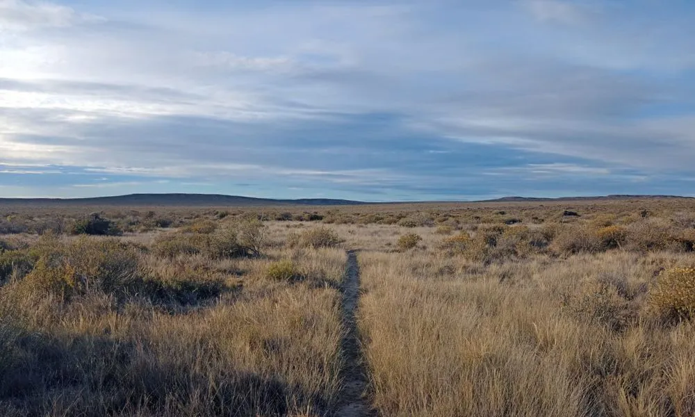 Alerta por frío extremo y ráfagas intensas en todo Chubut