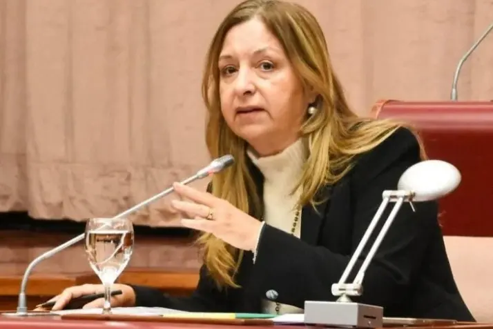 Reclamo en Chubut: La Legislatura le exige a Nación que destrabe un fondo clave para los Bomberos Voluntarios