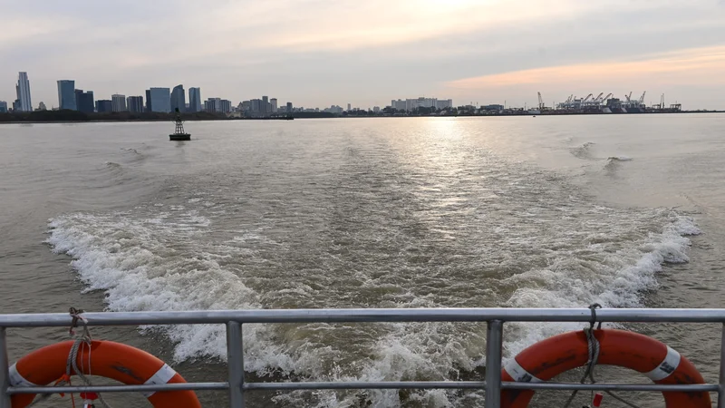 Catamarán en Puerto Madero