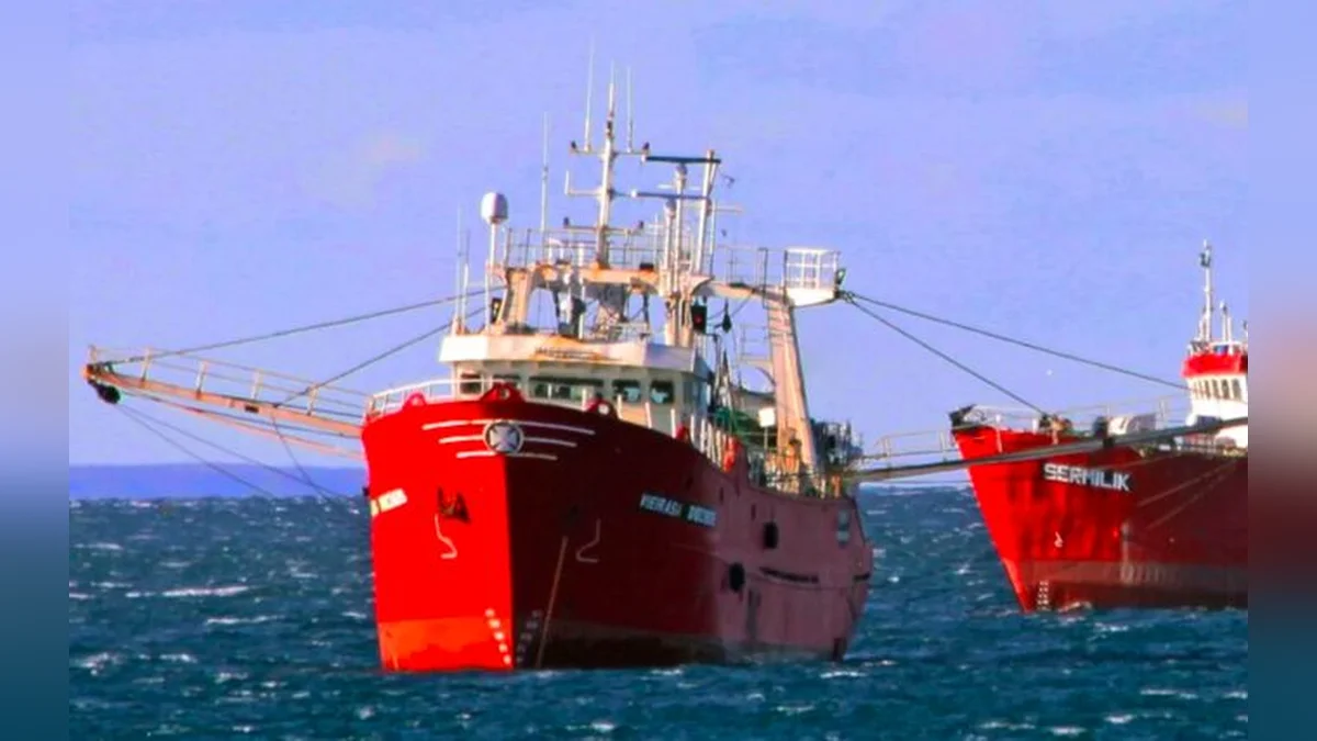 Chubut: CONARPESA pide elevar al 50% la producción de cola de langostino y se agrava el conflicto pesquero