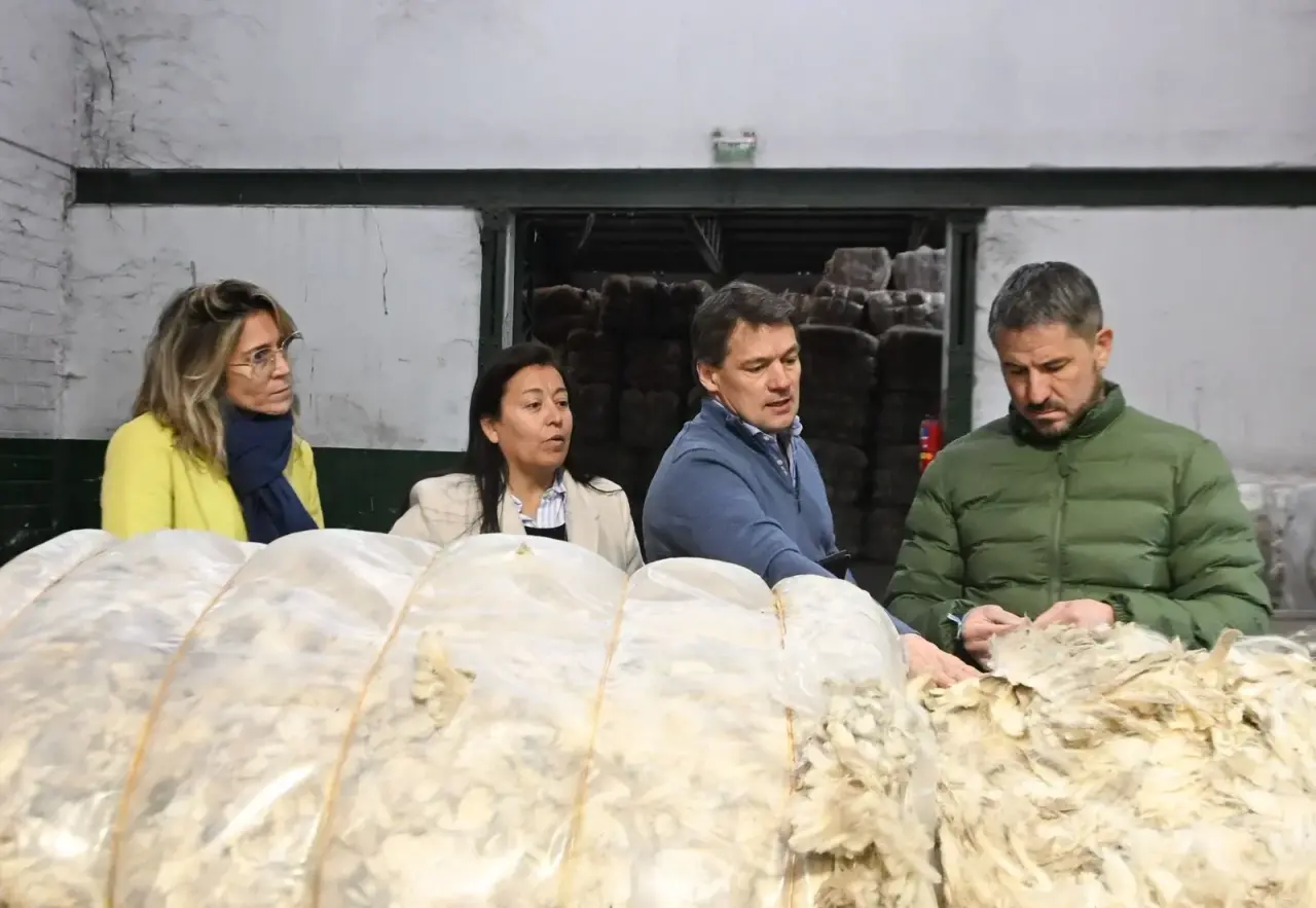 El intendente Gerardo Merino y funcionarios municipales analizan fardos de lana en la planta de Fuhrmann en Trelew.