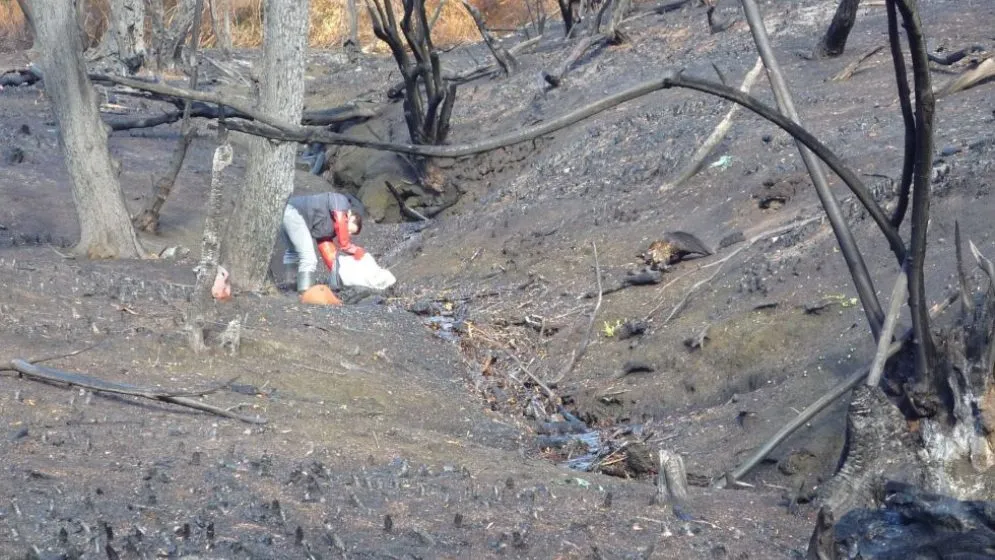 Alerta ambiental: revelan que los incendios forestales dañan el agua de Chubut por más de dos años