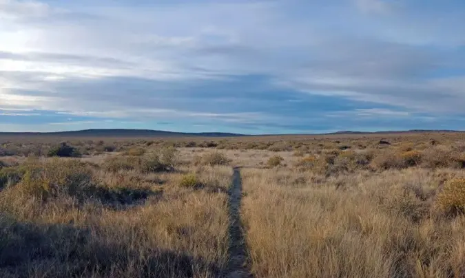¡Alerta meteorológica!: Vientos de 69 km/h azotarán a Chubut