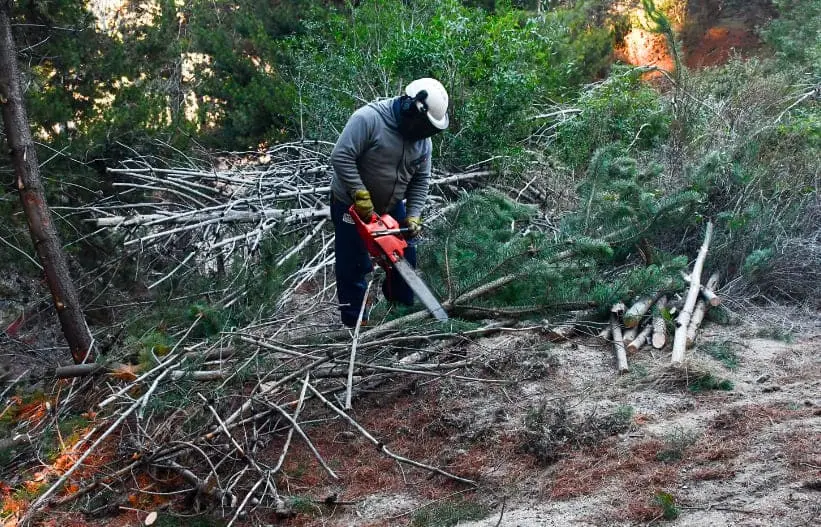 Esquel avanza con trabajos preventivos para reducir el riesgo de incendios de interfase