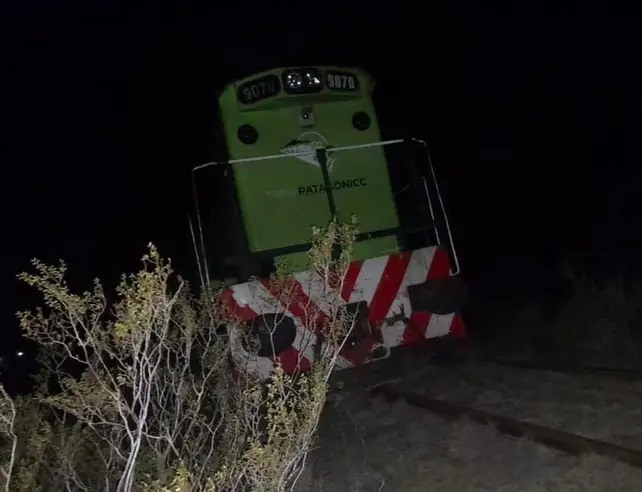 Descarriló el legendario Tren Patagónico