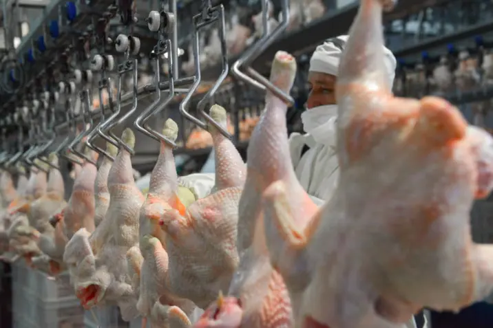 El pollo destronó a la carne vacuna en el país