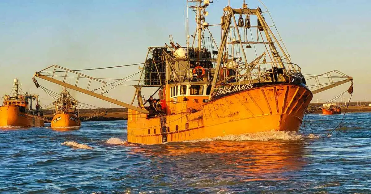 El sector pesquero en Chubut mantiene expectativas sobre el fallo judicial de Ficha Limpia