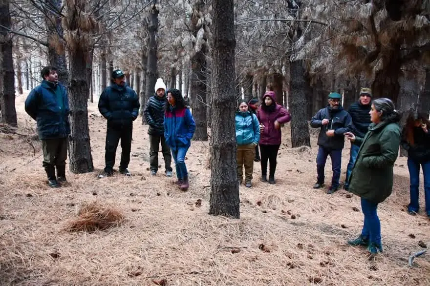 Prevención de incendios y desarrollo forestal: Esquel abrió la inscripción para el Manejo de Bosques Comunales