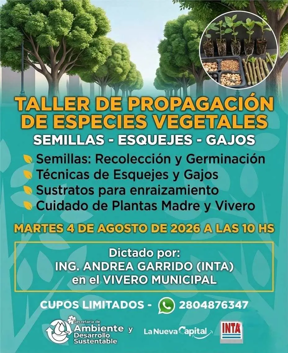 Rawson y el INTA lanzan un taller gratuito de propagación de plantas en el Vivero Municipal