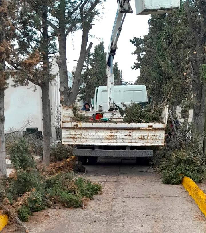 El Municipio de Trelew realizó recambio de luminarias y poda preventiva en el Cementerio Municipal